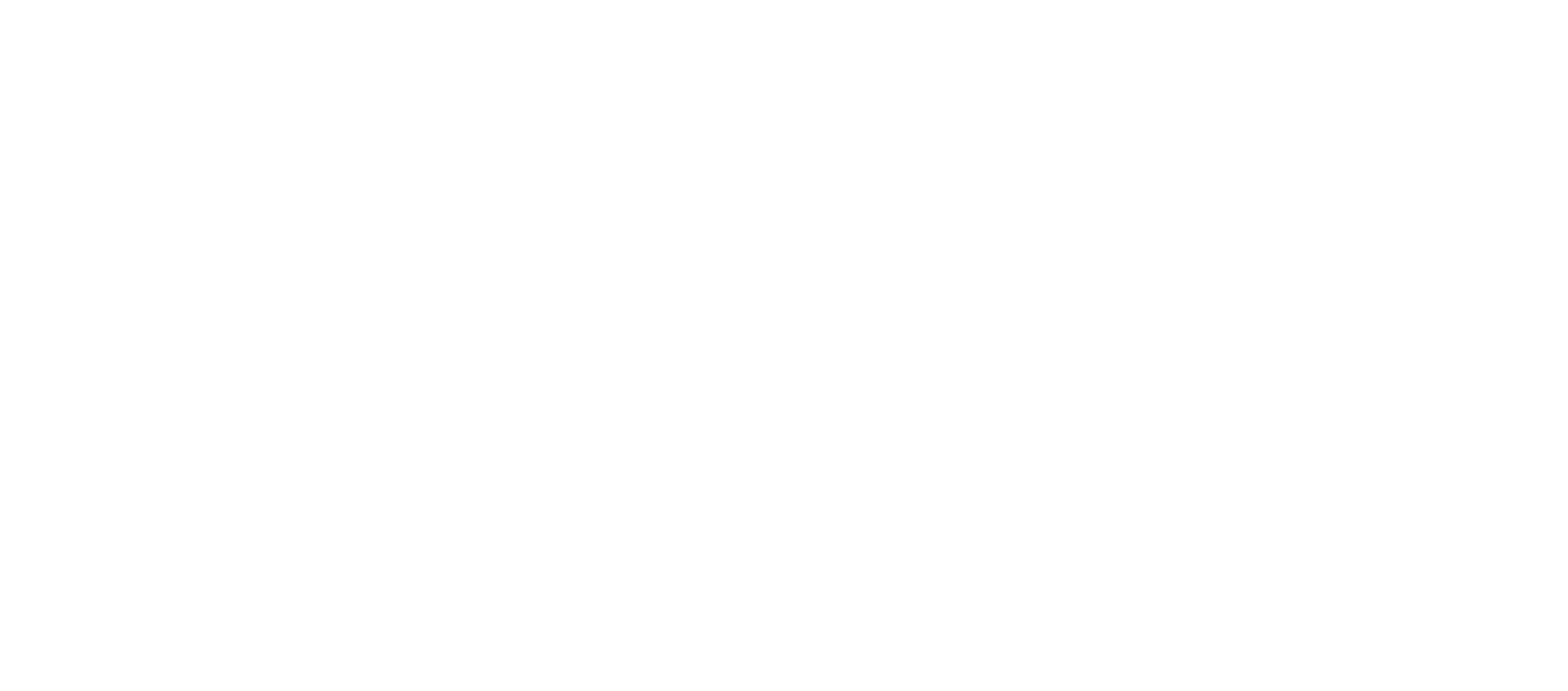 SRX PRODUCTS